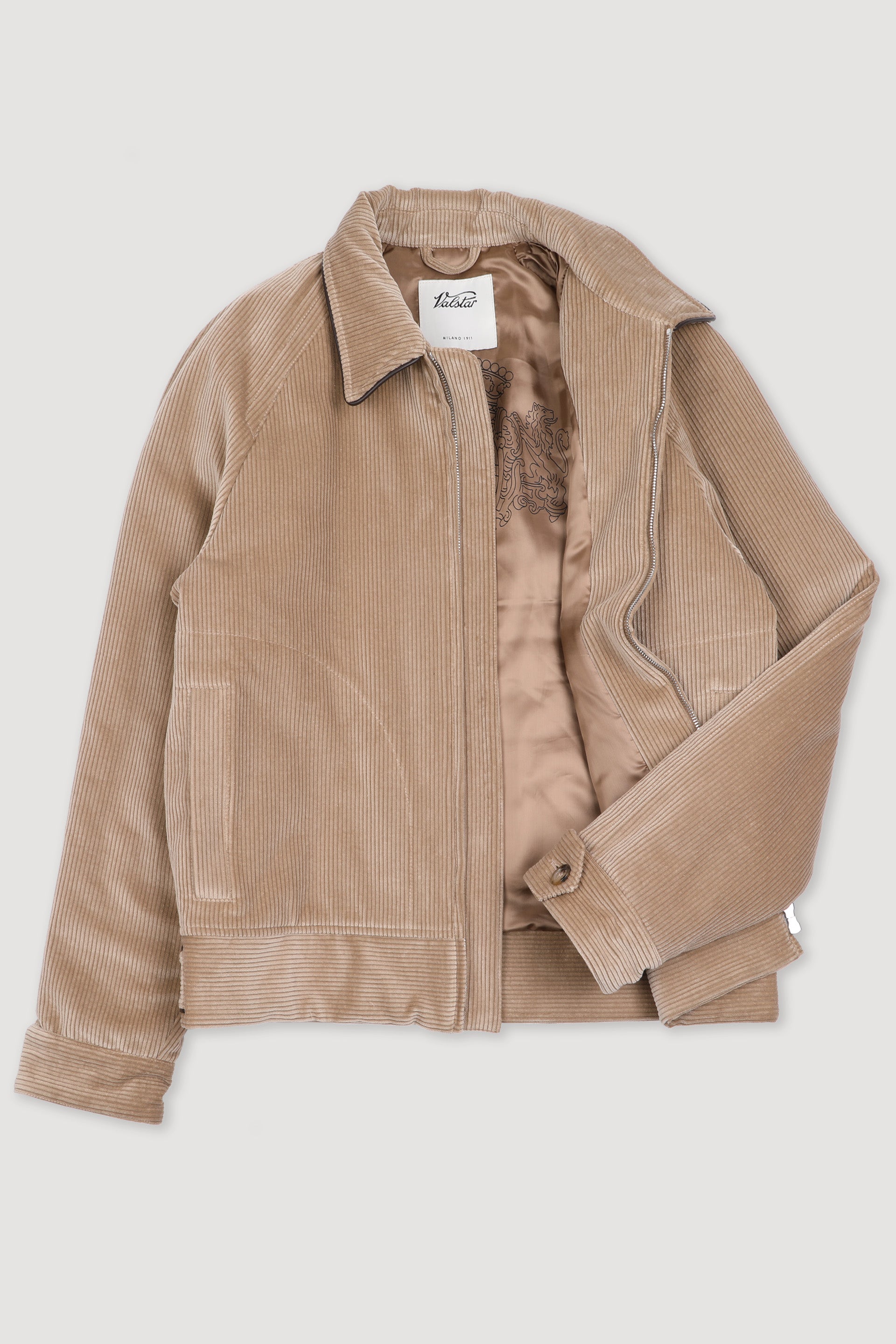 GIUBBOTTO CON ZIP, IMBOTTITO, VELLUTO DI COTONE STRETCH - Sable